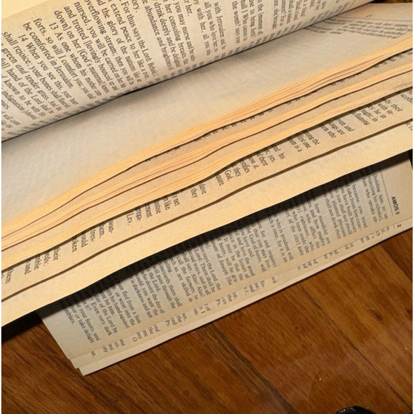 Amplified Bible Zondervan Good Book Paperback - Picture 4 of 8